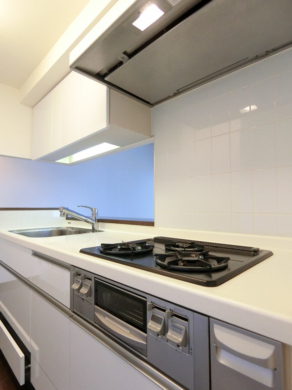 レジディア三軒茶屋Ⅱ302の室内5