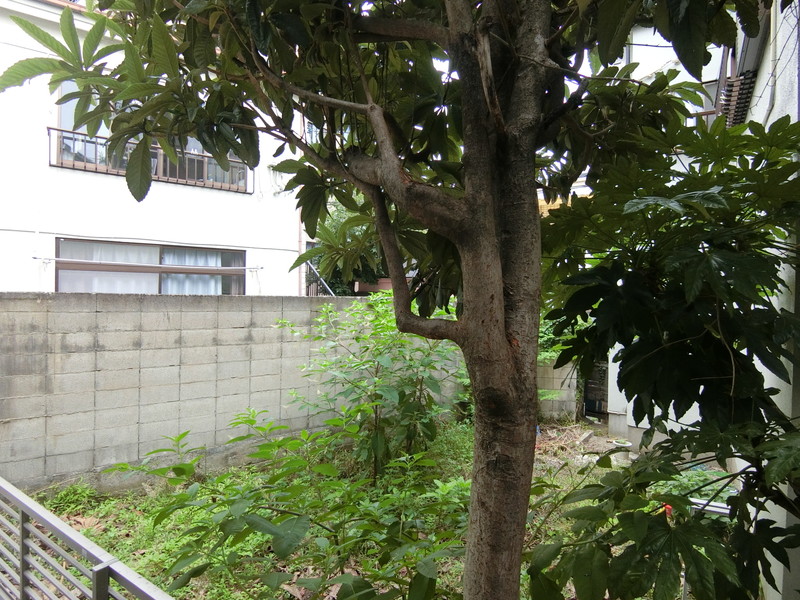 HOME suite home１０２の室内9