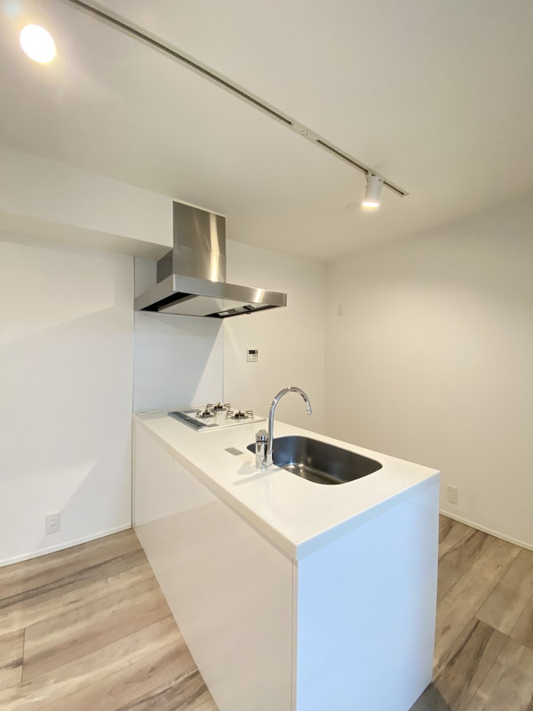 コスモリード目黒花房山203の室内3