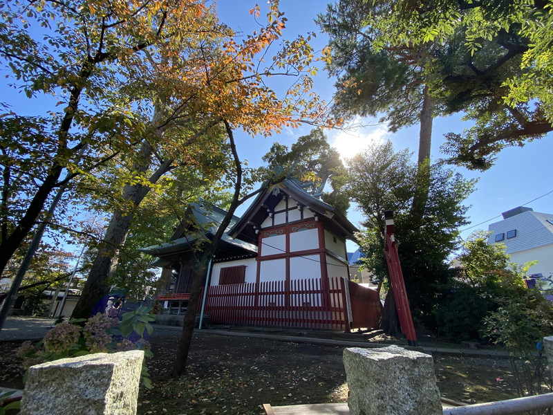 ベルヴィ野沢301の室内8