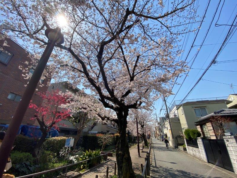 柳盛堂Ⅱビル40Dの室内11
