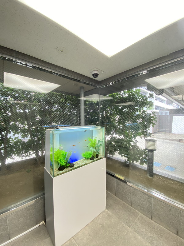 K&M広尾401の室内5