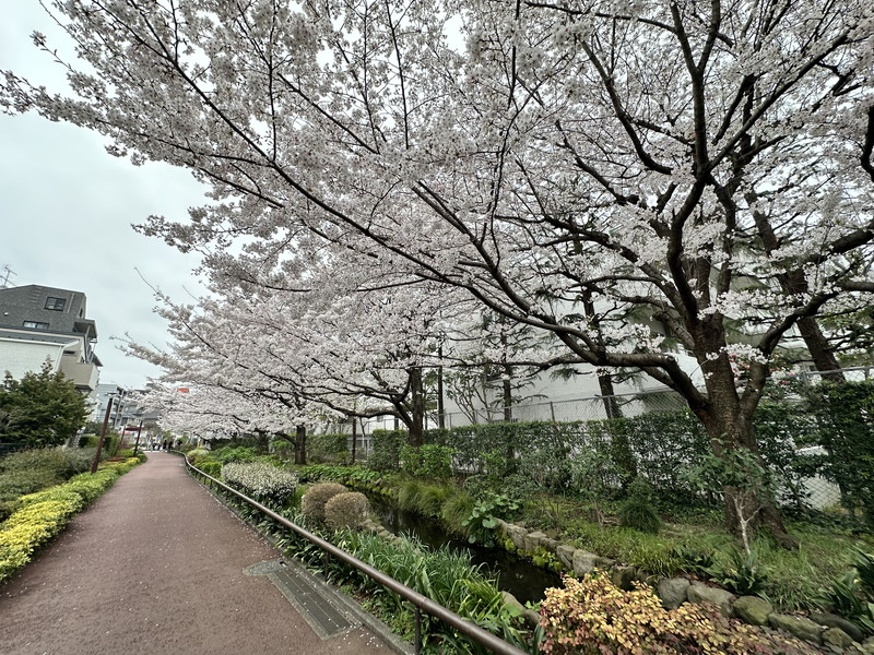 青葉台フラッツ505の室内9