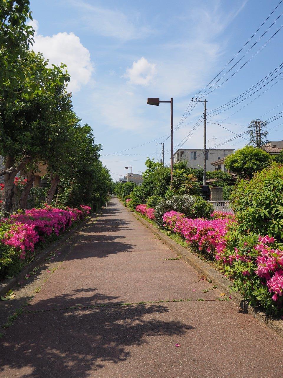 ザ・テレス下馬301の室内6