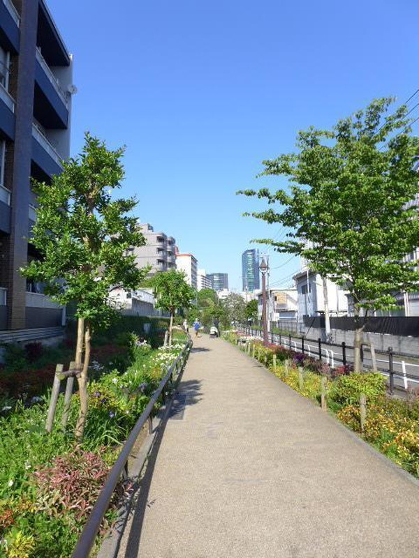 エスパーダ池尻205の室内6