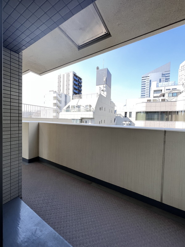 ビューネ渋谷桜丘504の室内12