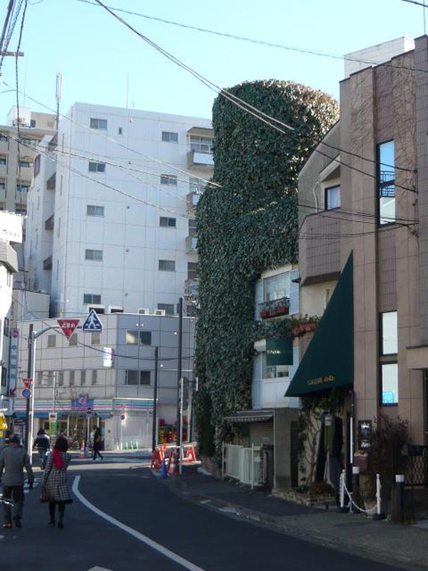 東信松涛マンション302の室内7