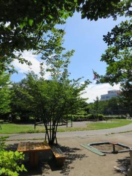 ラスカ駒場103の室内10