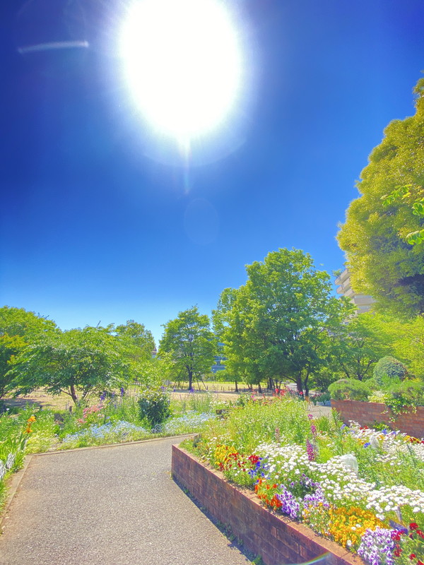 LEGALAND中目黒ANNEX102の室内9