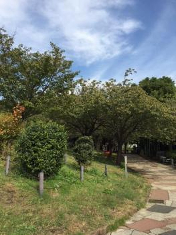 ル・ヴィラージュ中目黒207の室内9