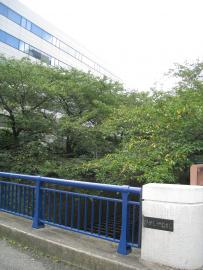 目黒第5コーポラス804の室内8