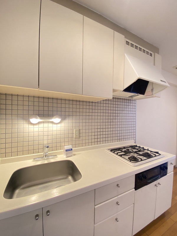 グランドメゾン三軒茶屋309の室内5