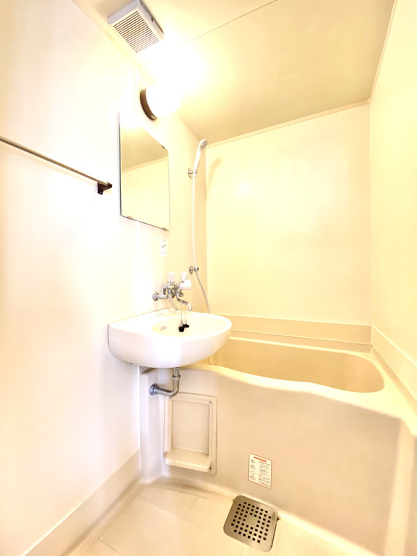 ライラックマツモト301の室内6