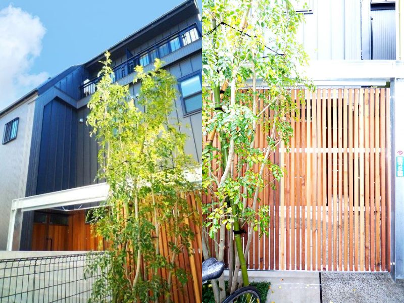 クラスパ中目黒1Cの室内1