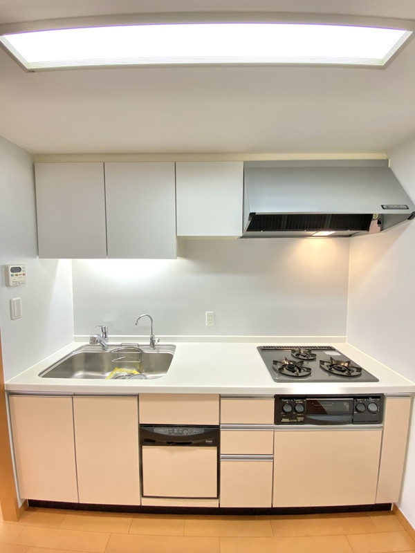 THEパームス代々木上原コスモテラス303の室内7