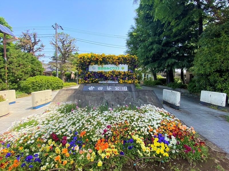 レジディア三宿703の室内11