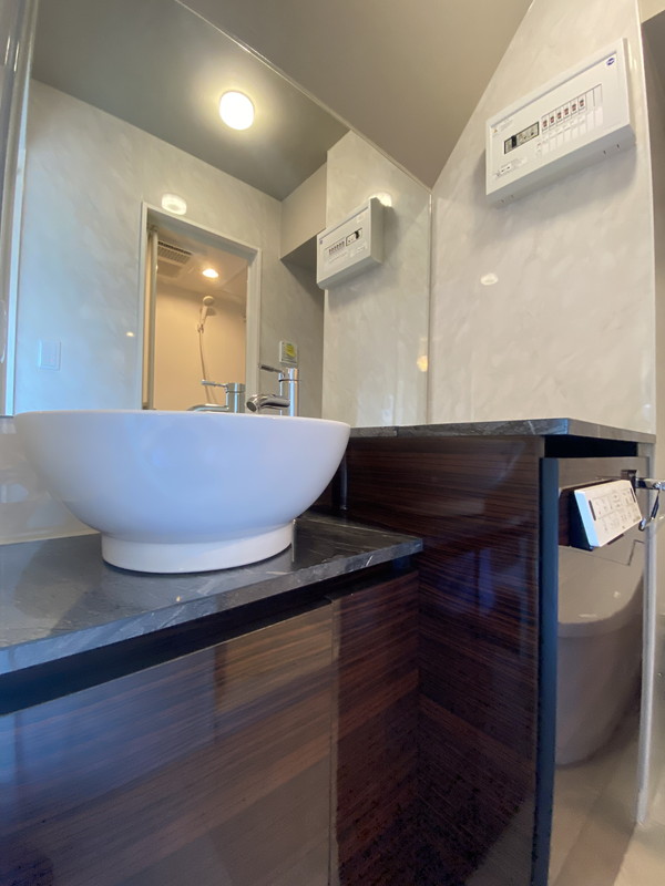 La Blancheur KOMAZAWA(ラ・ブランシュール駒沢)301の室内8