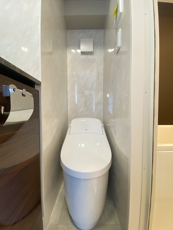 La Blancheur KOMAZAWA(ラ・ブランシュール駒沢)301の室内10