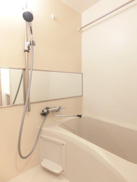 ディアレイシャス三軒茶屋409の室内11