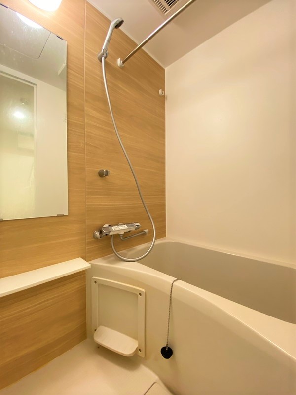 リビオメゾン代々木上原307の室内6