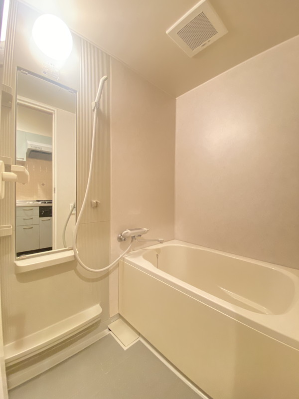 メゾンアンシャンテ102の室内6