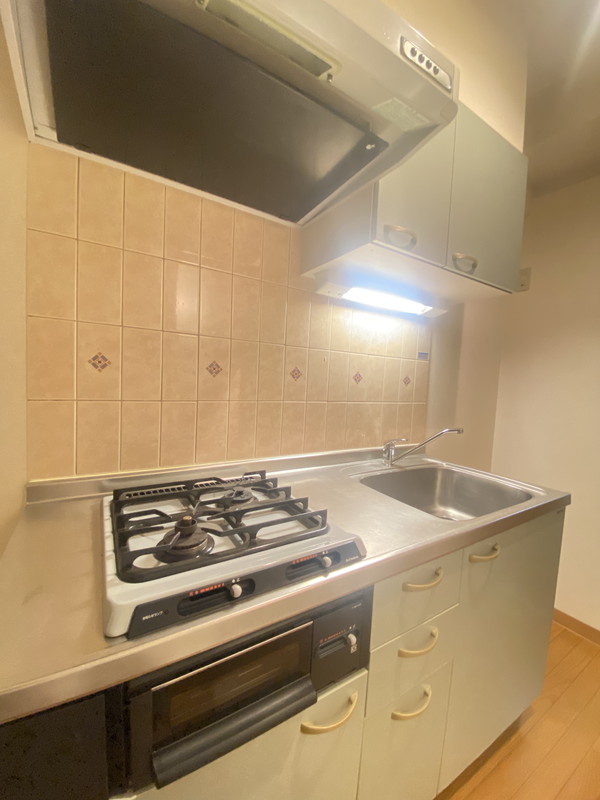 メゾンアンシャンテ102の室内5