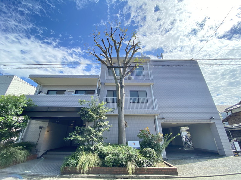 コスモリード三軒茶屋102の室内1