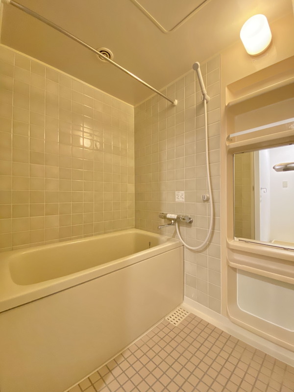 コスモリード三軒茶屋102の室内6