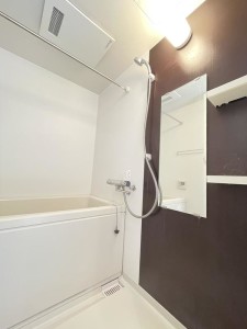 グランデュオ駒沢Ⅱ205の室内4