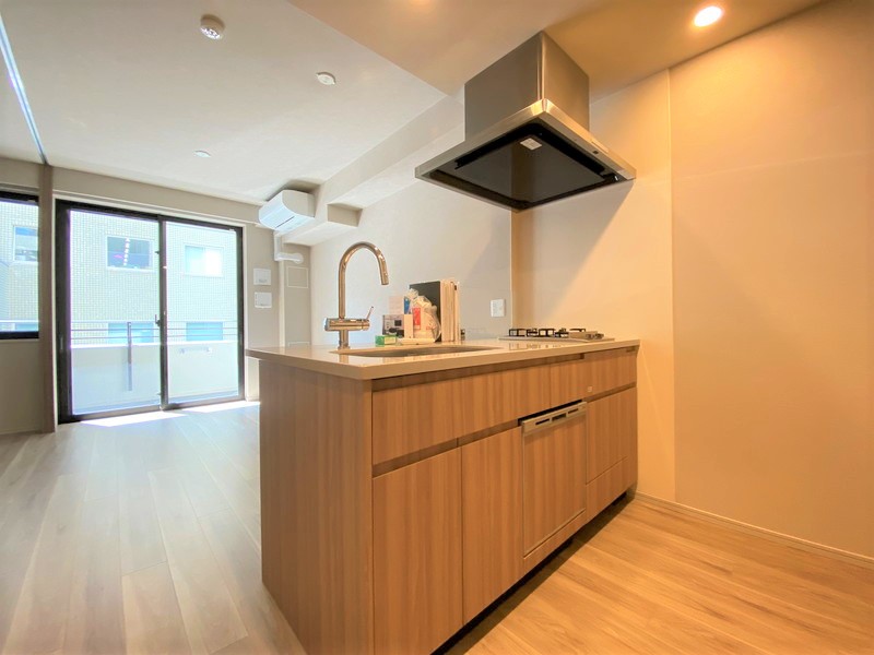 ドレッセ都立大学203の室内4