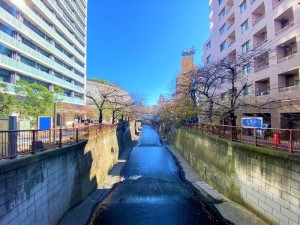 ブリーズヴェール東山0301の室内2