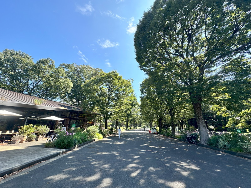 レジディア駒沢大学201の室内13