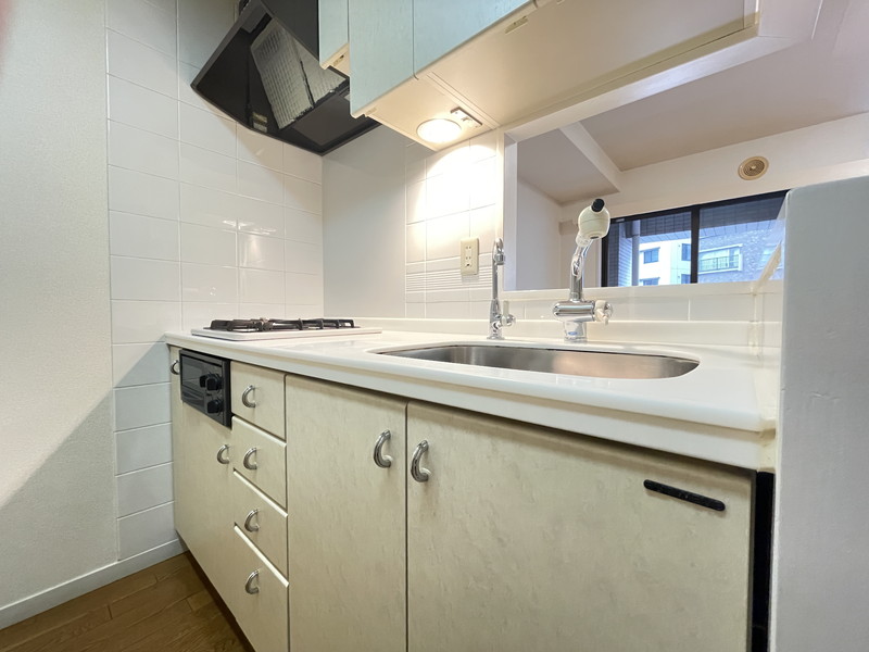 フリーディオ広尾南308の室内4