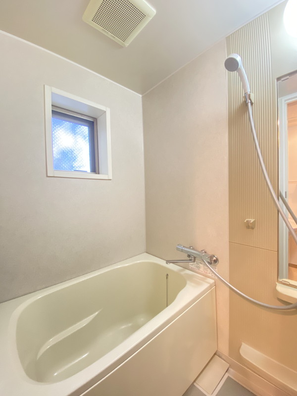 メゾンアンシャンテ101の室内3