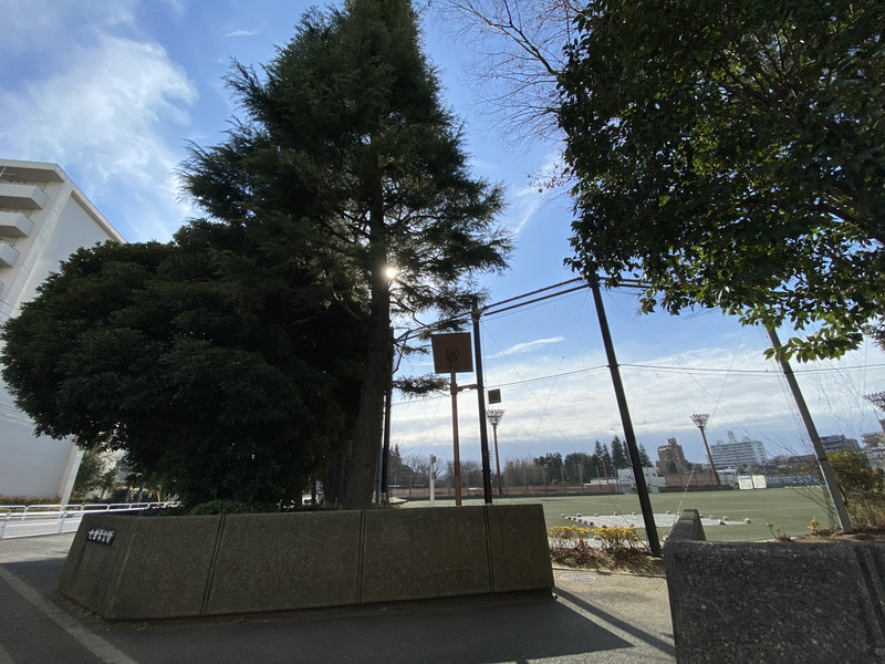 パークサイドマンション池尻306の室内9