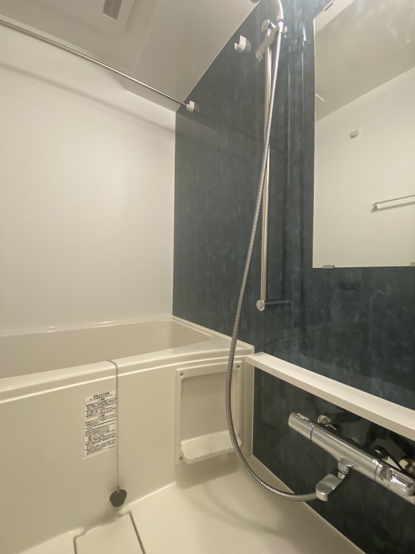 フェルモアルテ世田谷若林804の室内6