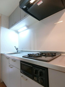 トラスト五本木204の室内5