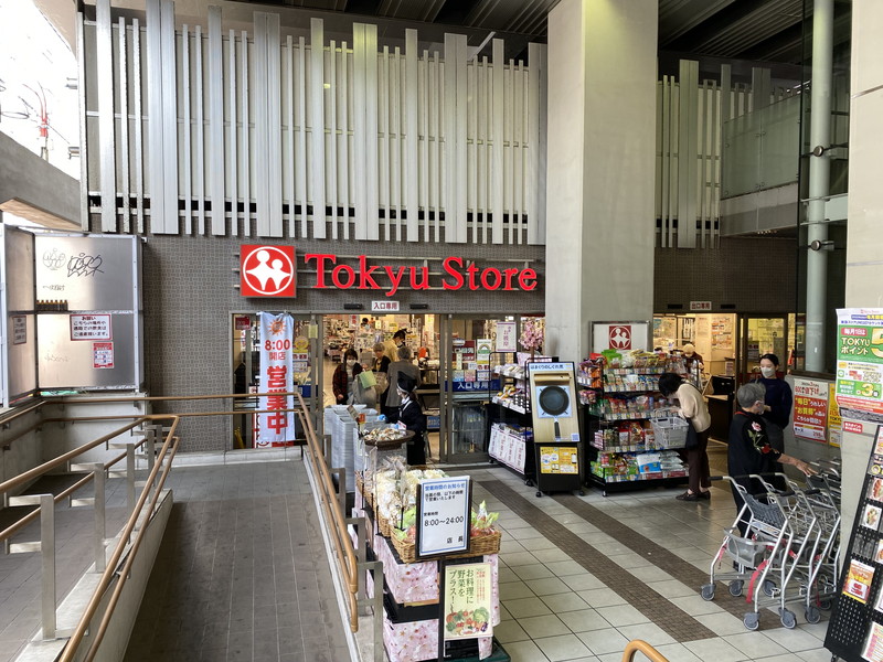 ライオンズガーデン学芸大学107の室内4