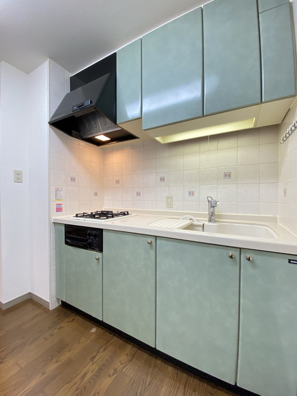 ライオンズガーデン学芸大学107の室内9