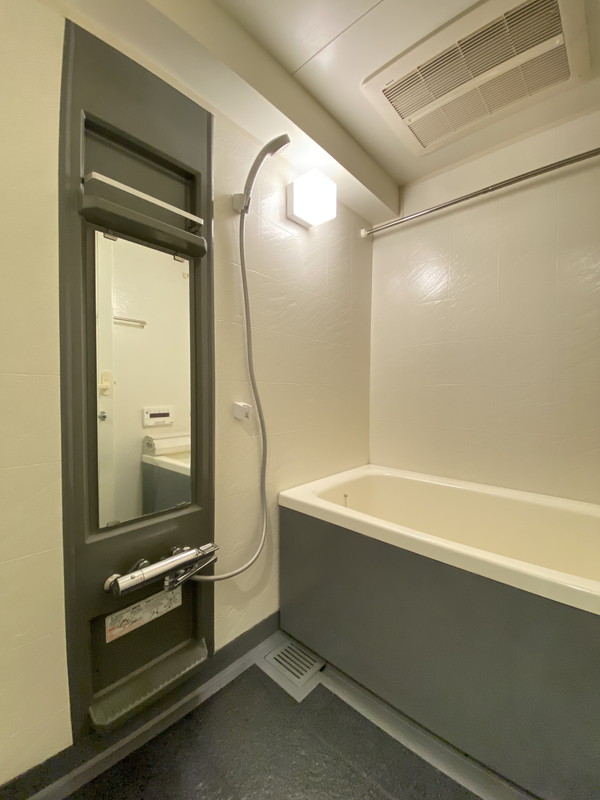 ライオンズガーデン学芸大学107の室内11