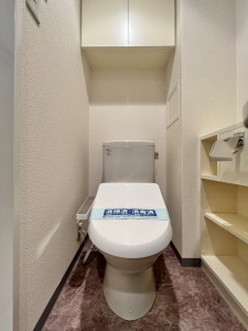 ステージファースト三軒茶屋アジールコート303の室内8