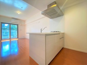 プライムアーバン学芸大学パークフロント202の室内9