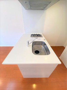 プライムアーバン学芸大学パークフロント202の室内5