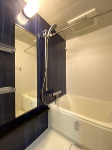レジディア三軒茶屋Ⅲ301の室内9