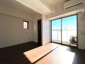 レジディア三軒茶屋Ⅲ301の室内3