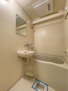 フェニックス三軒茶屋705の室内6