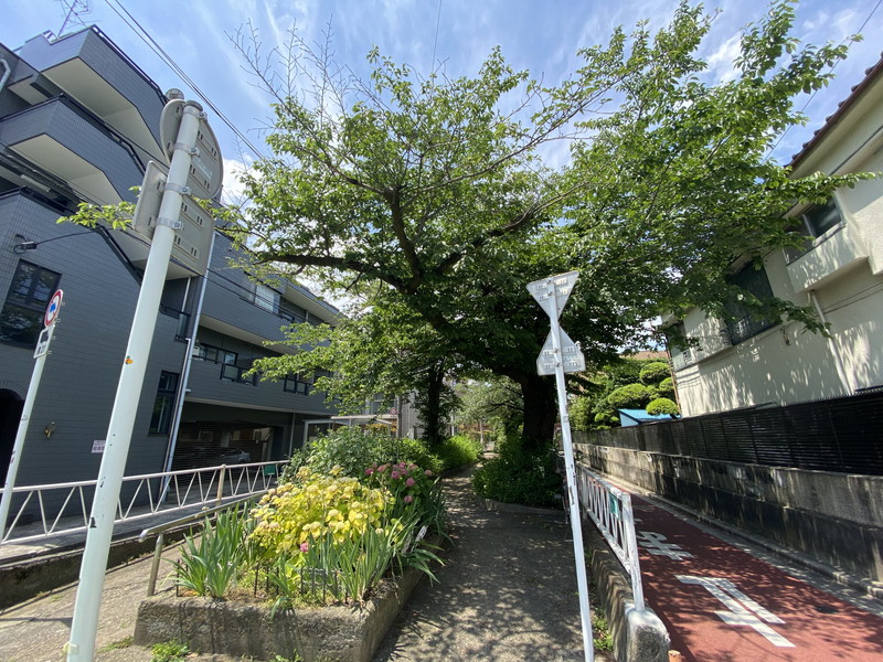 リビオメゾン都立大学404の室内11