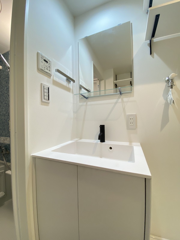 Reve Residence学芸大学II（レーヴ　レジデンス学芸大学II）101の室内6