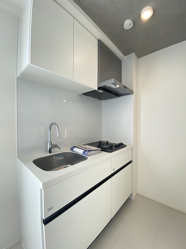 Reve Residence学芸大学II（レーヴ　レジデンス学芸大学II）101の室内5