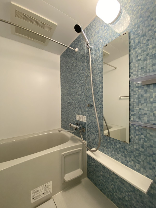 Reve Residence学芸大学II（レーヴ　レジデンス学芸大学II）101の室内7